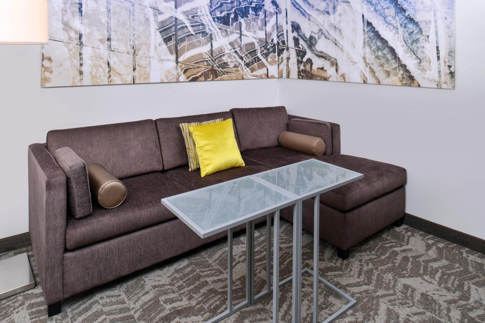 Springhill Suites By Marriott Detroit Metro Airport Romulus Exteriör bild