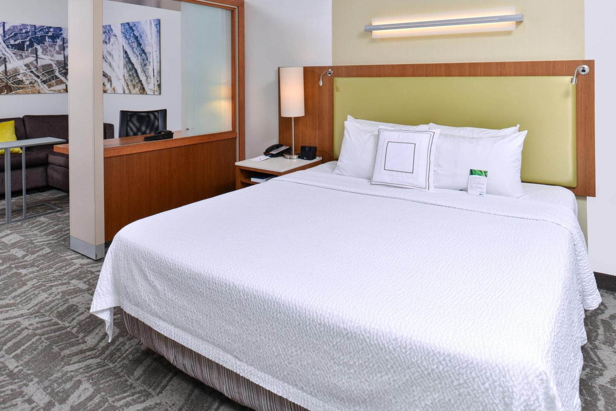 Springhill Suites By Marriott Detroit Metro Airport Romulus Exteriör bild